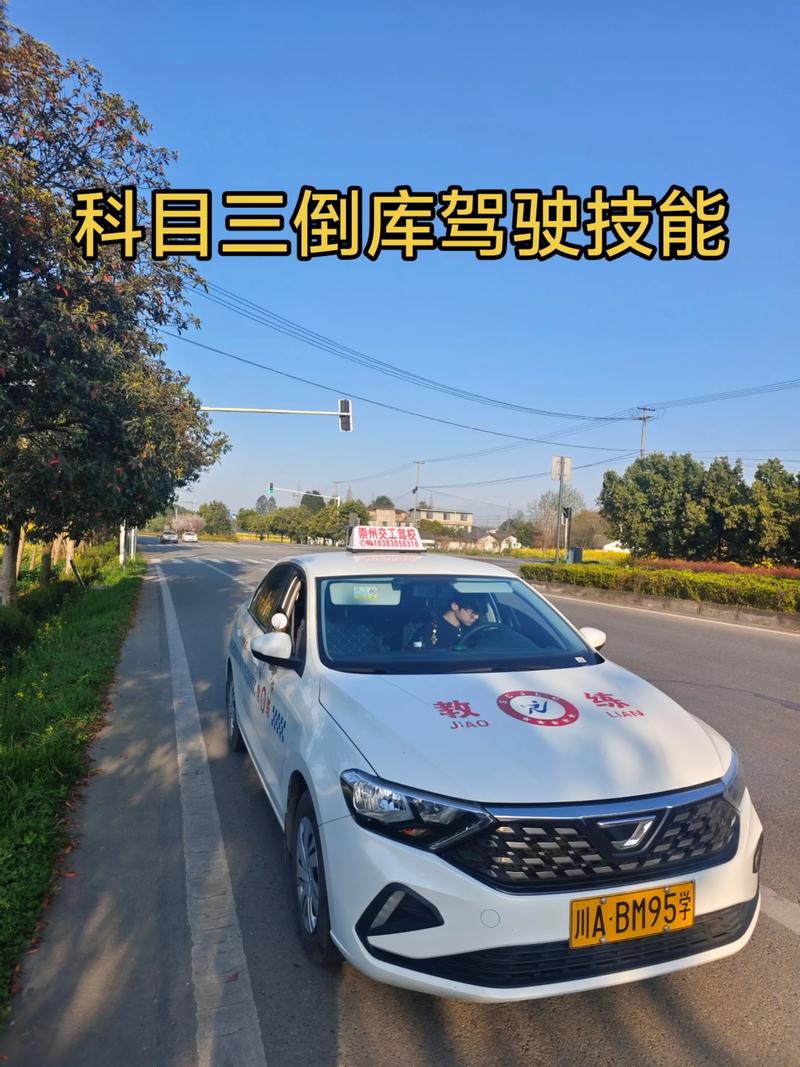 科目三视频2026
