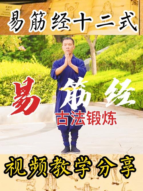 易筋经教学视频2026