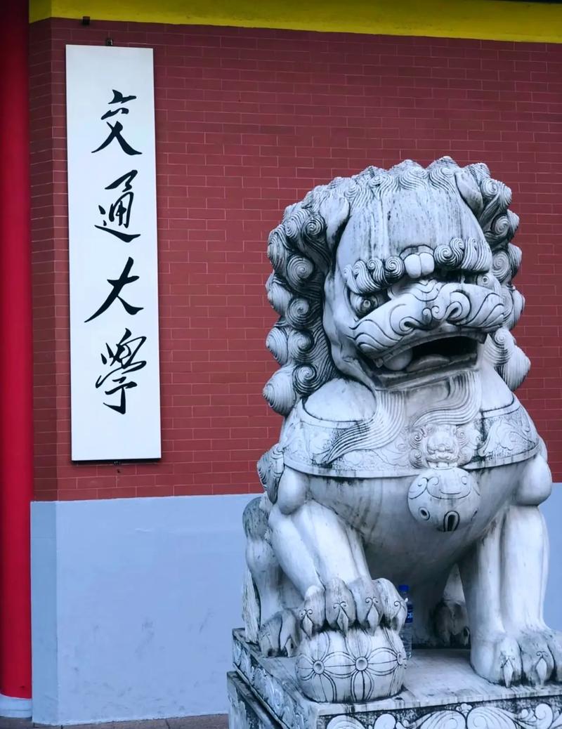 姓交大视频2026