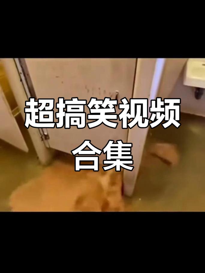 稿笑视频2026