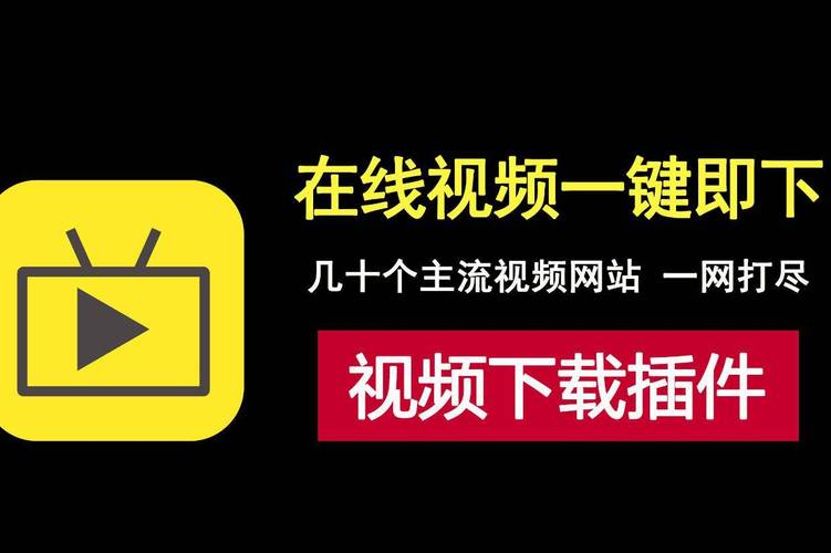 a片视频播放2026