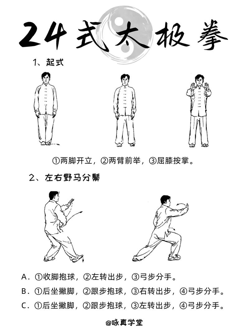太极拳24式视频完整版2026