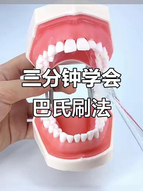 巴氏刷牙法完整视频2026