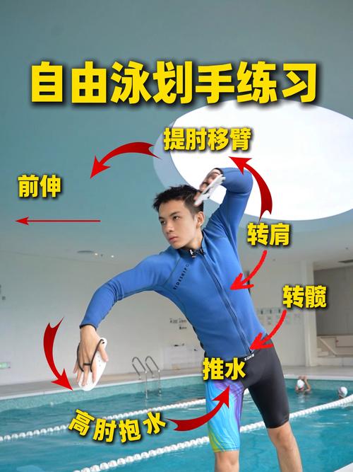 自由泳教学视频2026