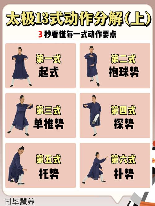 太极拳教学视频2026