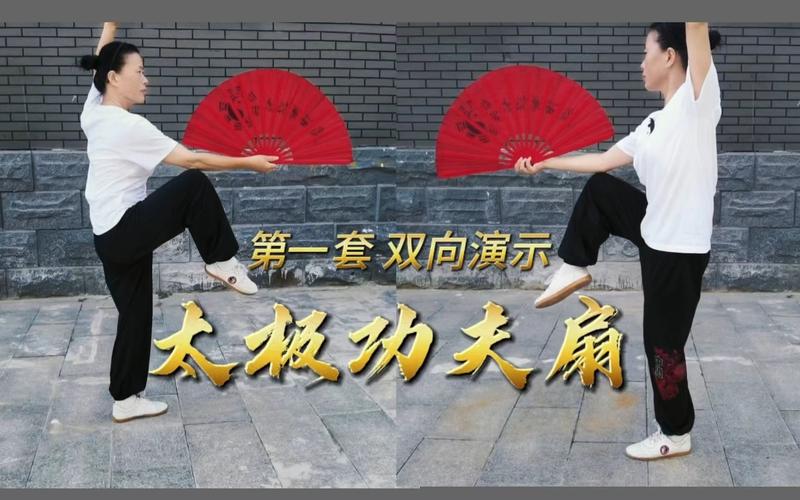 太极功夫扇第一套视频2026