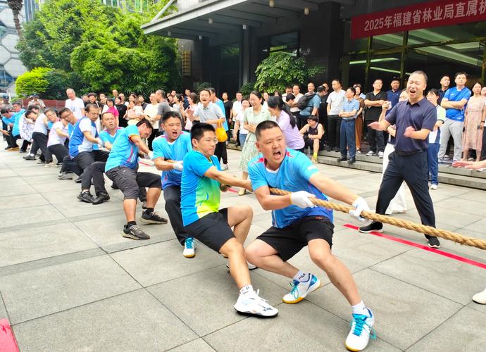 拔河比赛视频2026