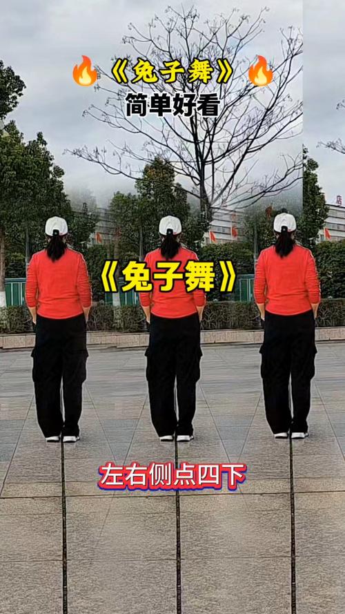 兔子舞视频2026
