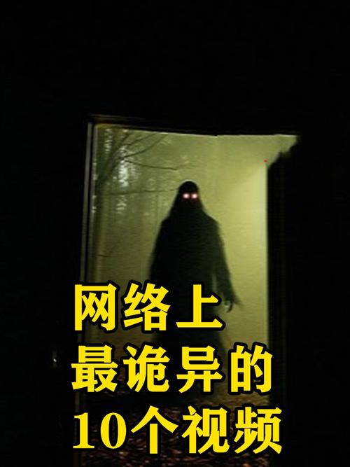 灵异视频网2026