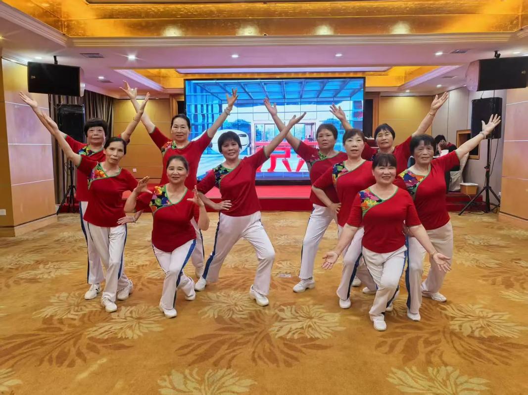 中老年广场舞视频大全2026