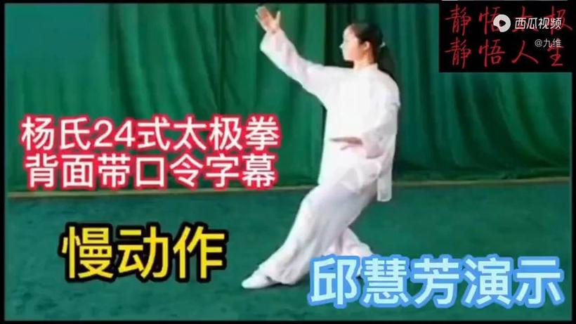 杨氏太极拳24式视频2026