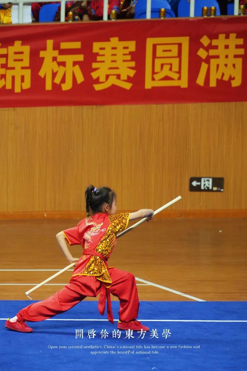 武术视频2026