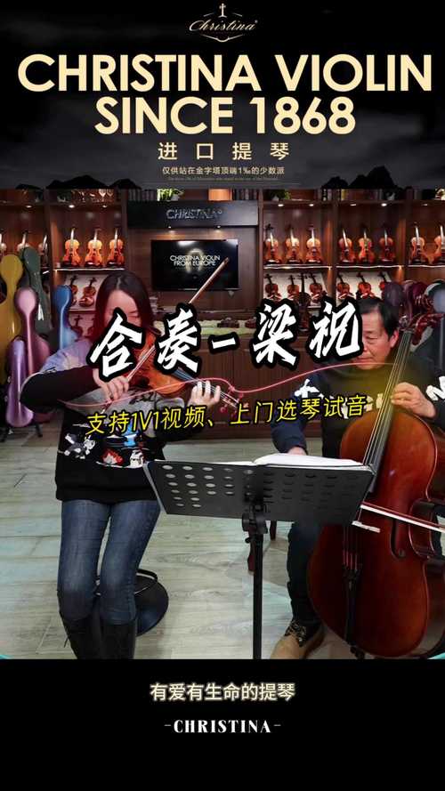 小提琴梁祝视频2026