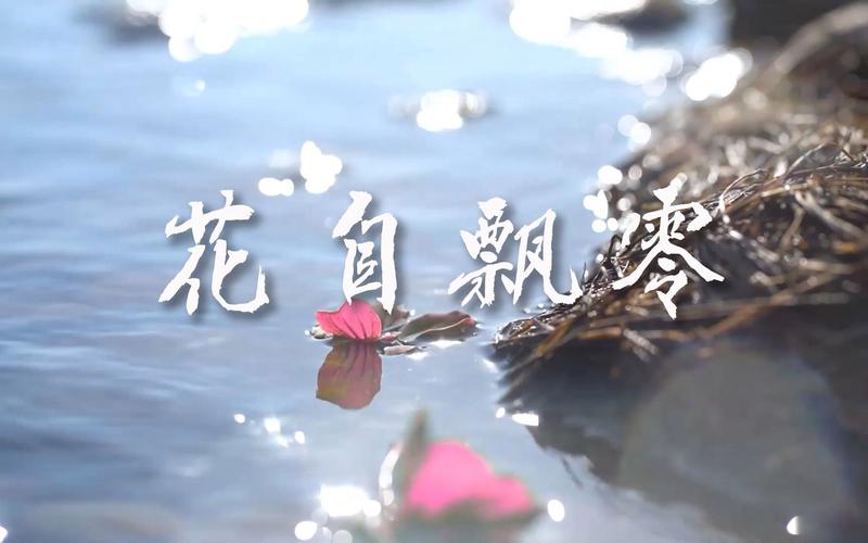 飘零视频2026