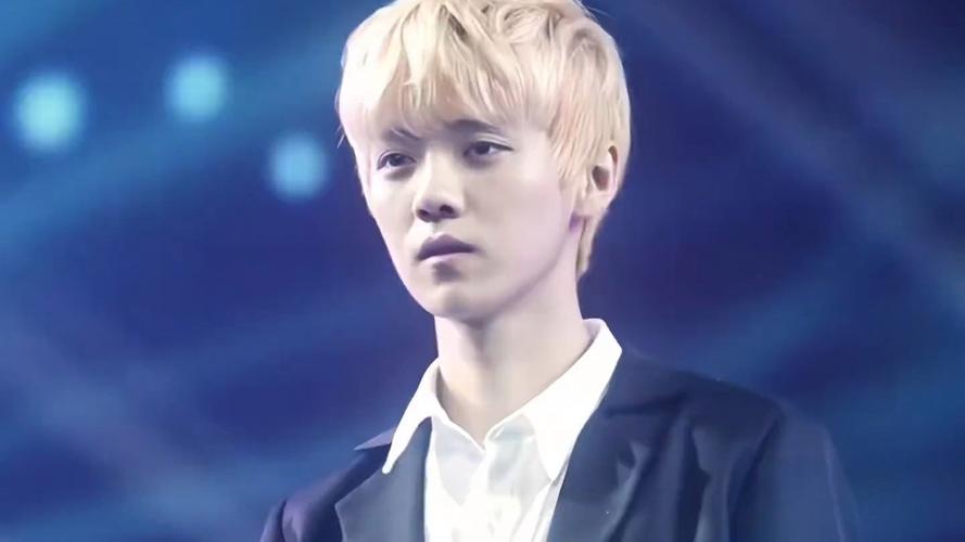 exo鹿晗视频2026