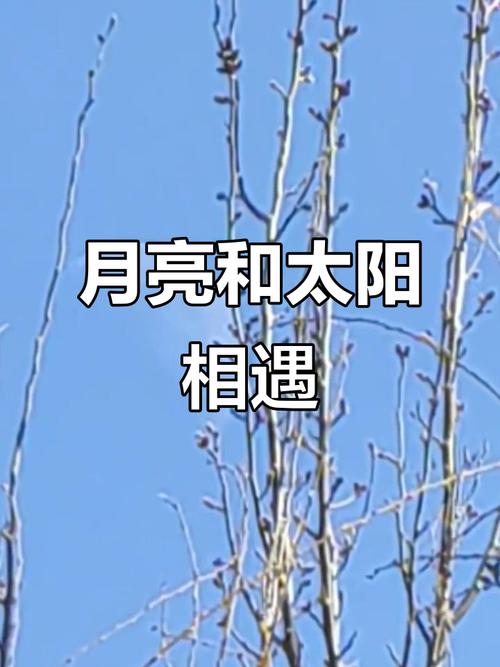 太阳和月亮视频2026