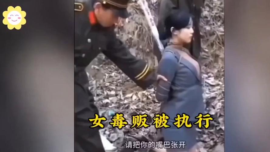 女毒犯视频2026