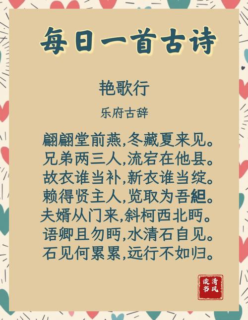 诗歌鉴赏视频2026