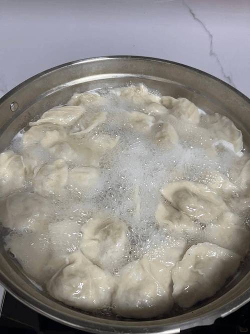 煮饺子的视频2026
