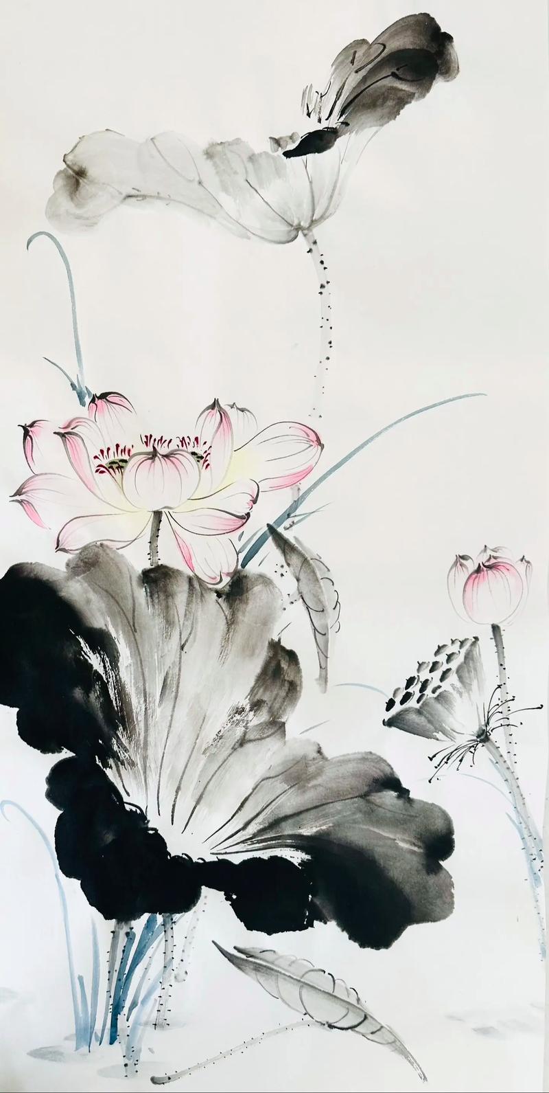 国画荷花画法视频2026