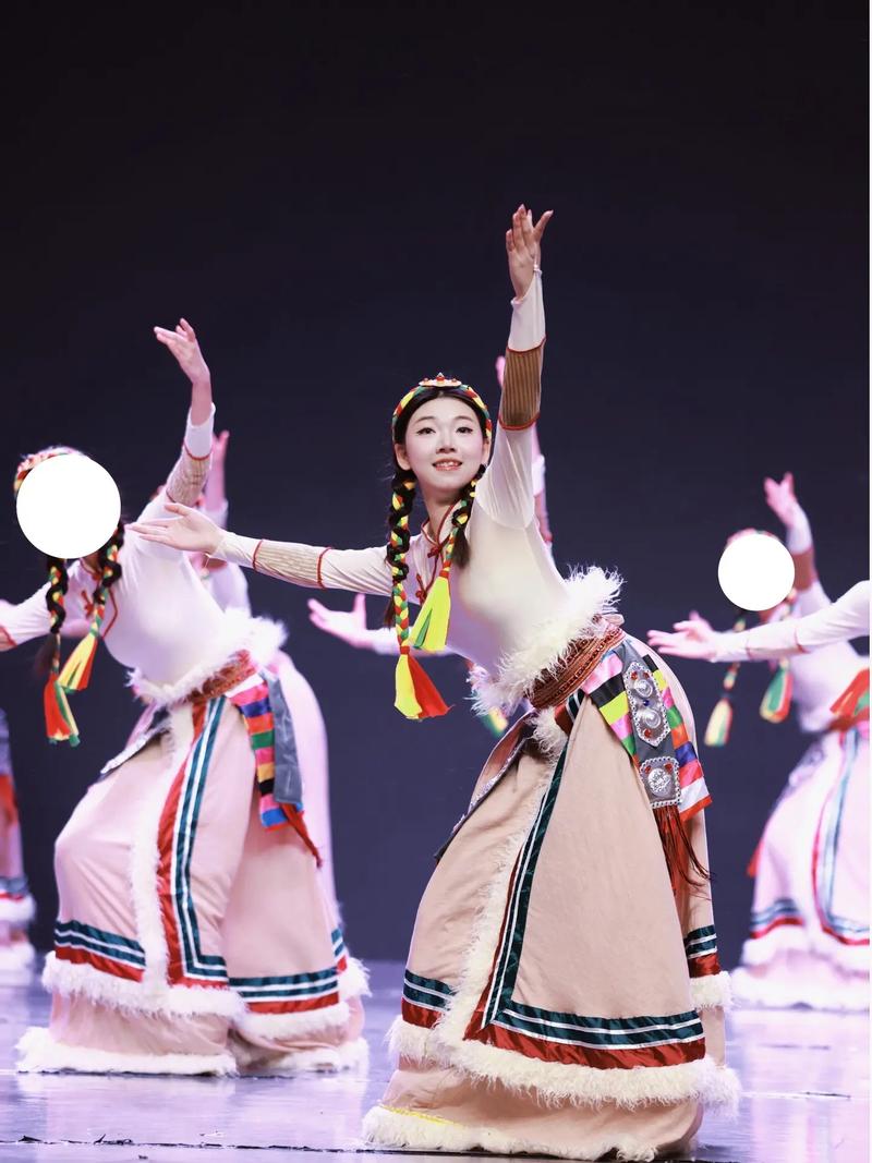 西藏舞蹈视频2026