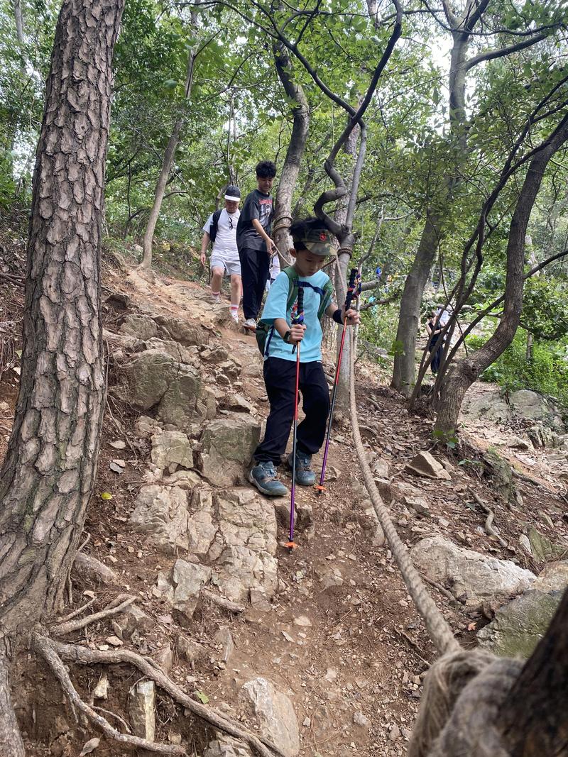 登山步视频2026