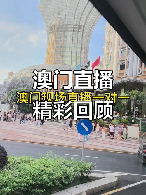 澳门在线视频2026