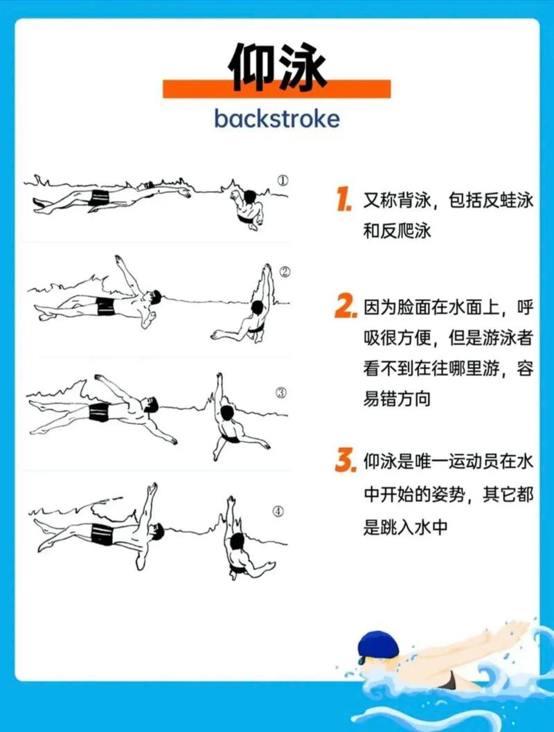 仰泳教学视频2026