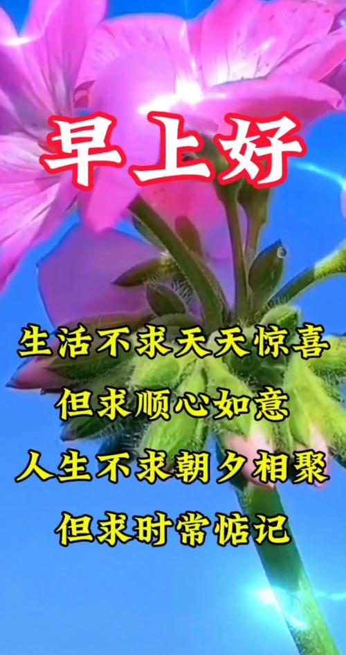 早上好祝福视频2026