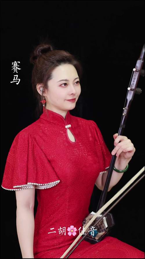 二胡名曲视频2026