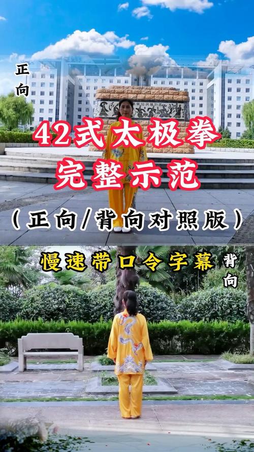 42式太极拳视频2026