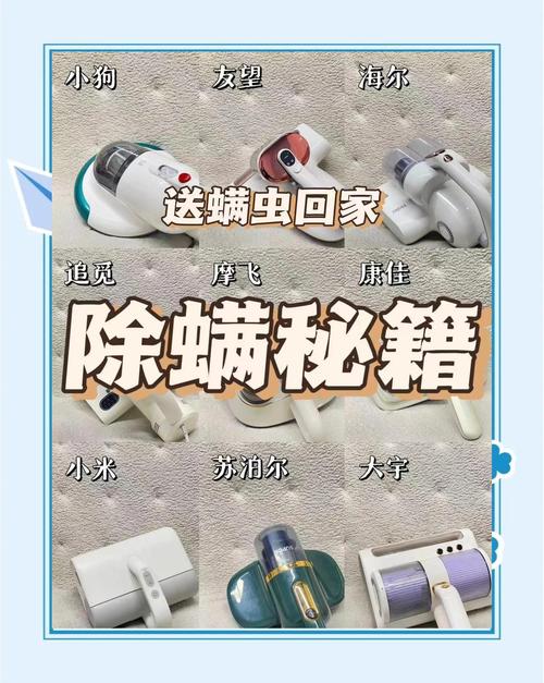 除螨虫视频2026
