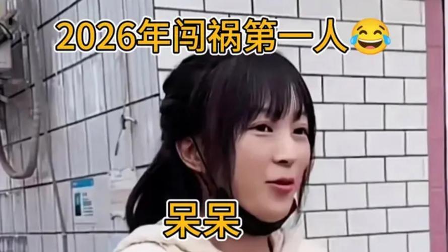 呆哥视频2026