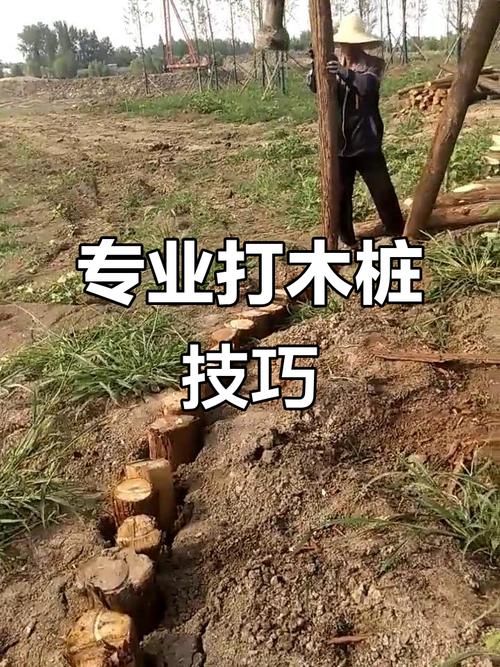 打木桩视频2026