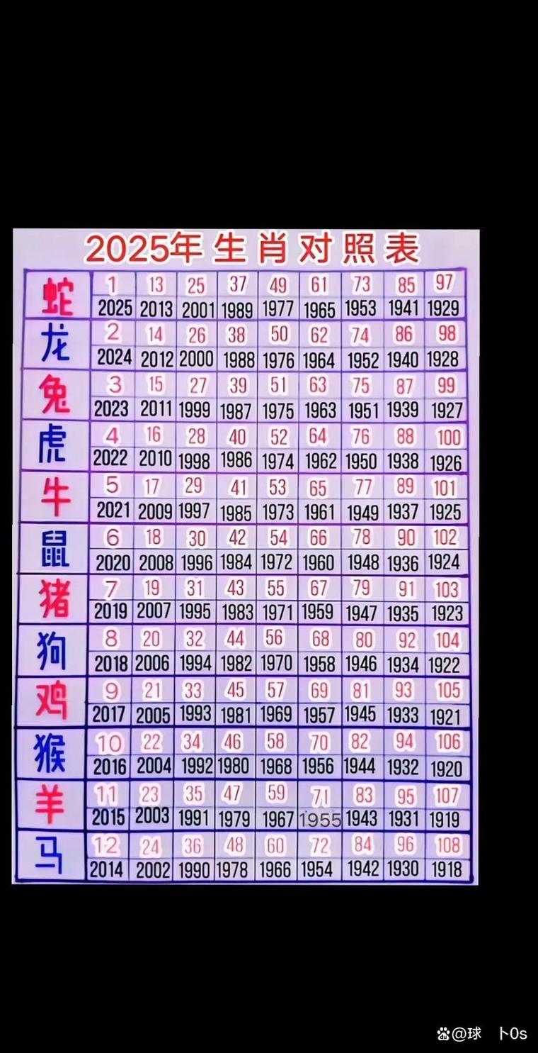 十二生肖的视频2026