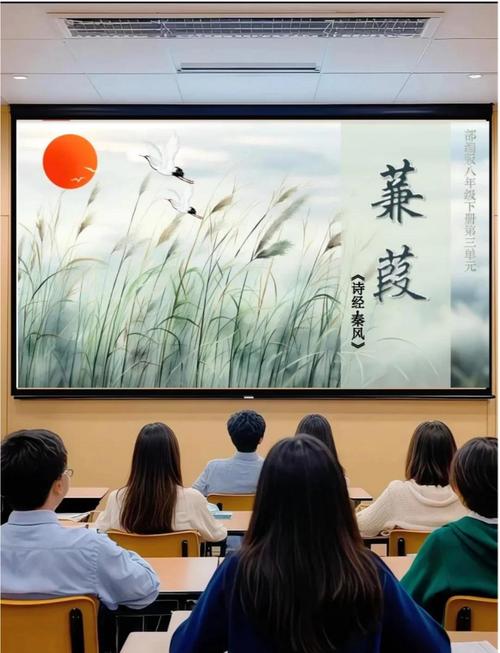 蒹葭视频2026
