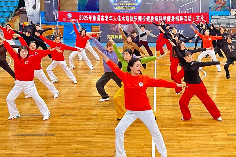 老年体操视频2026