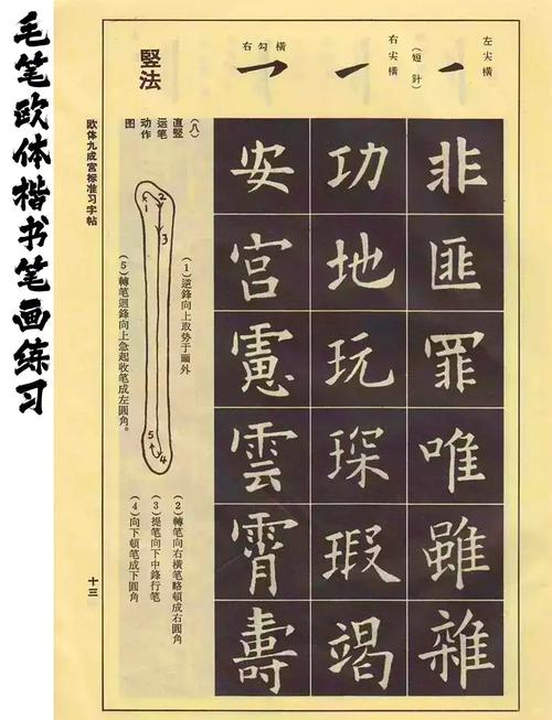 欧体视频2026