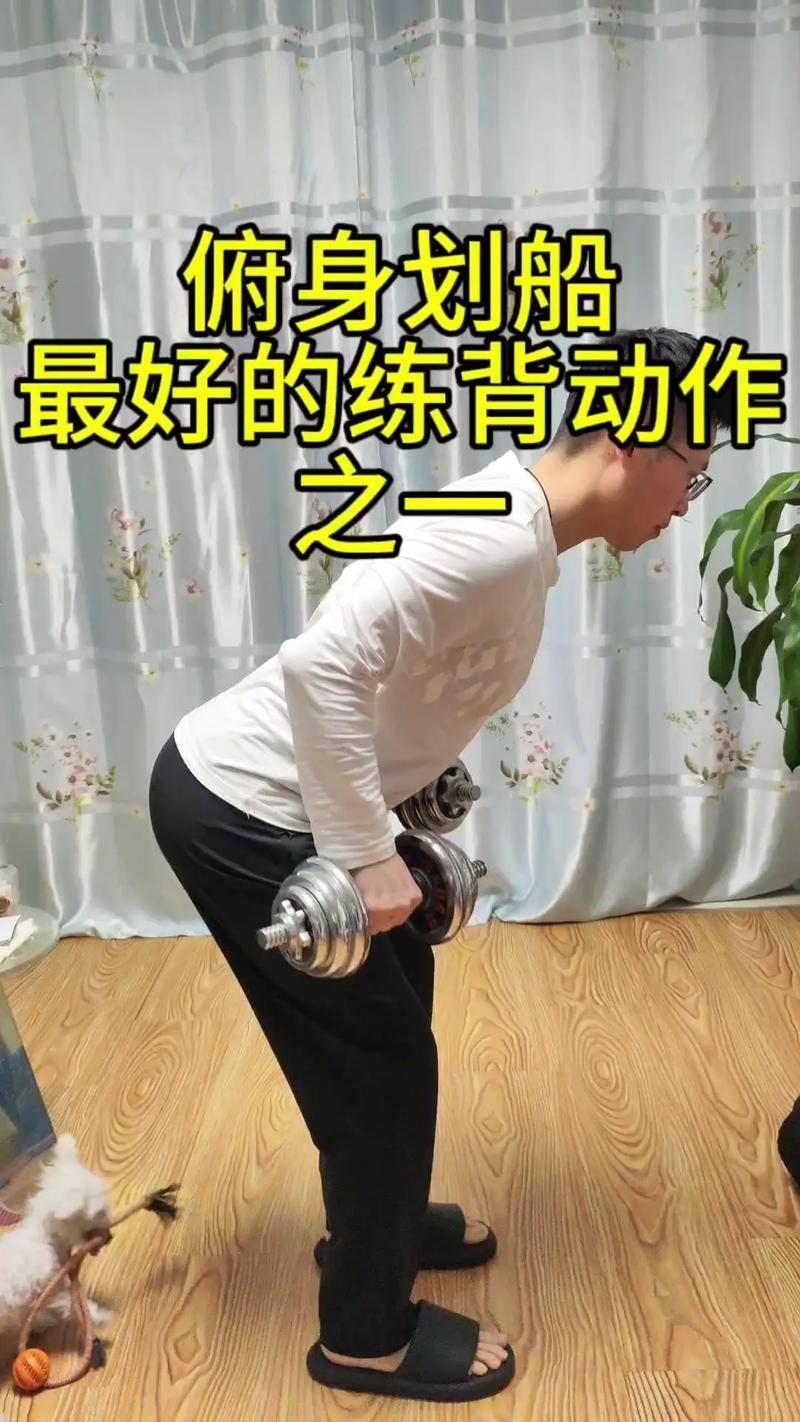 划船教学视频2026