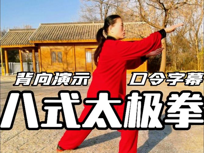 八式太极拳视频2026