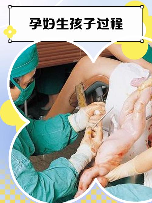 怎样生孩子视频2026