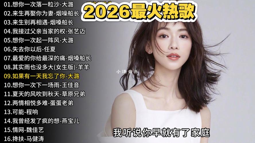 网络歌曲视频大全2026