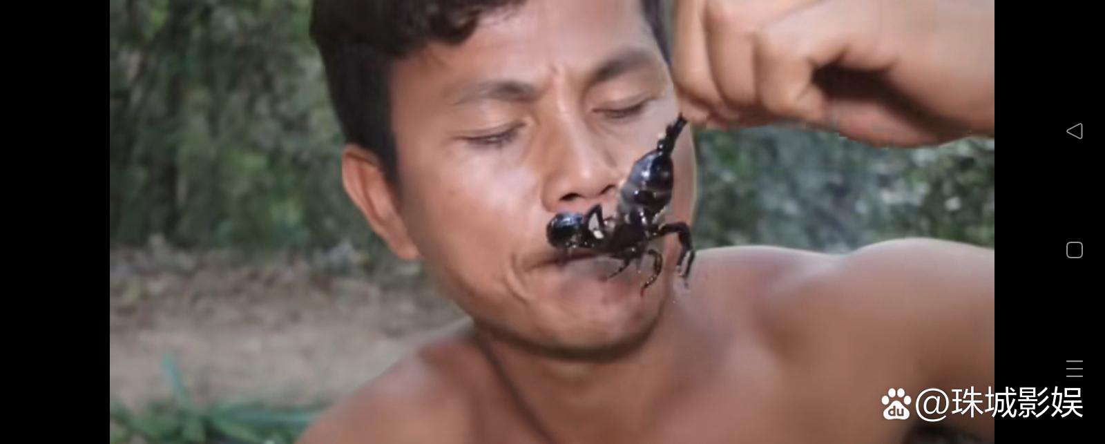 生吃蝎子视频2026