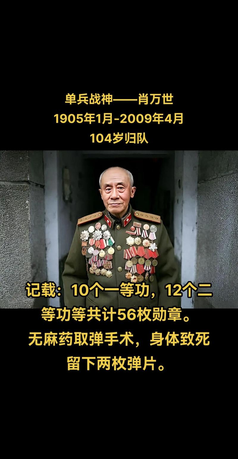 万将军视频2026