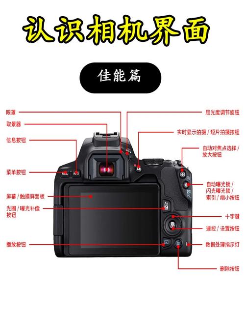 佳能单反如何拍视频2026
