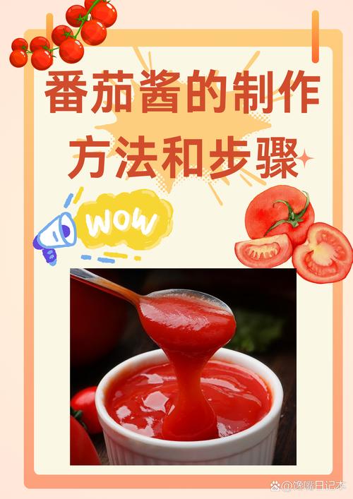 番茄酱的做法视频教程2026