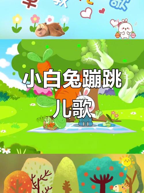 小白免儿歌视频2026