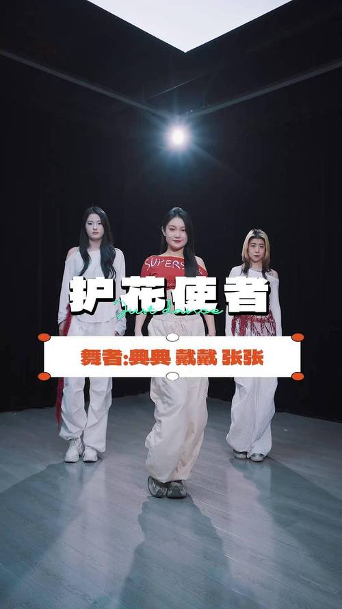 护花使者的舞蹈视频2026