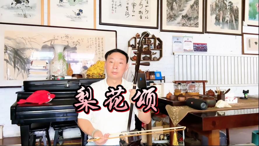 二胡独奏梨花颂视频2026