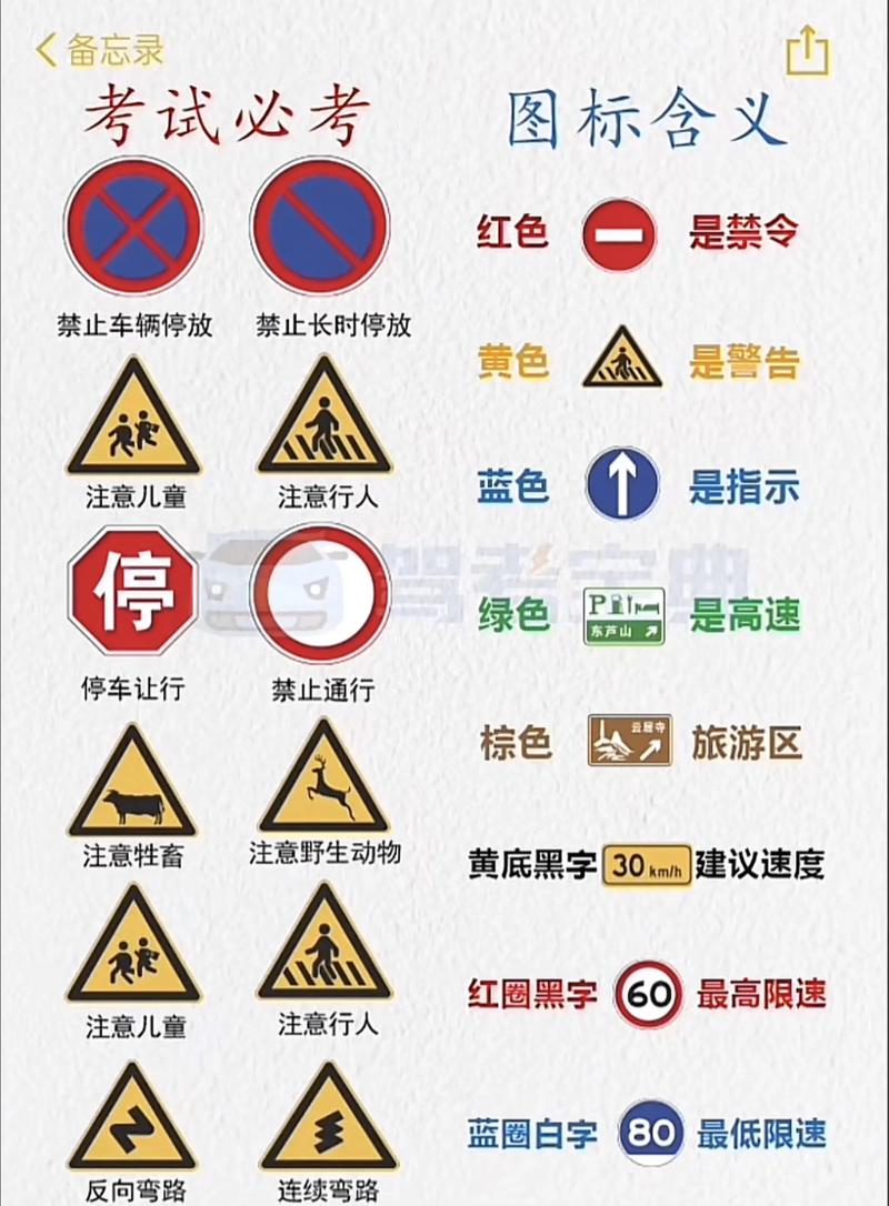 科目一看视频2026